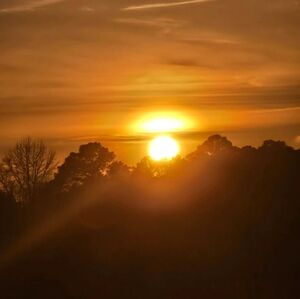 Meet your Posher, Laurie